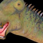 500 teeth