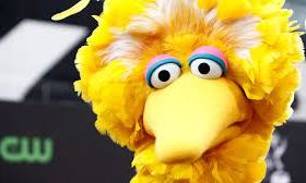Big Bird