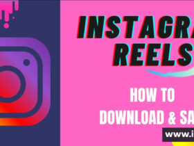 Instagram Download Status