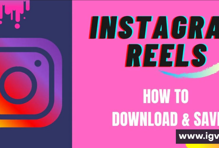 Instagram Download Status